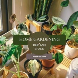 a room with plants