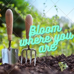 gardening tools in a garden