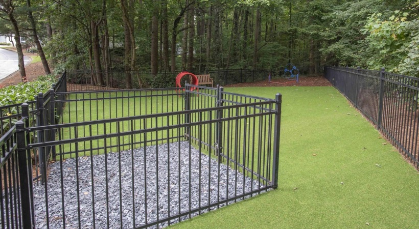 a dog park
